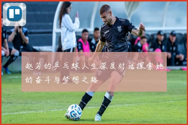 赵芳的乒乓球人生深度对话探索她的奋斗与梦想之路