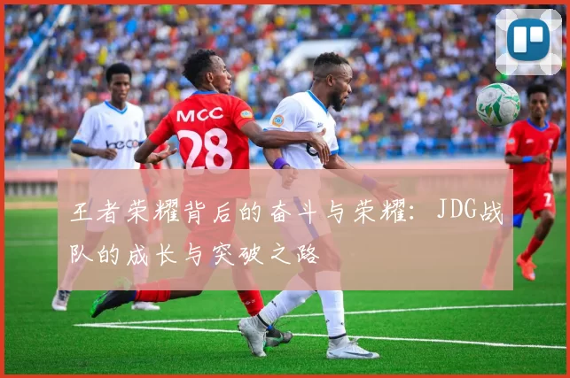 王者荣耀背后的奋斗与荣耀：JDG战队的成长与突破之路