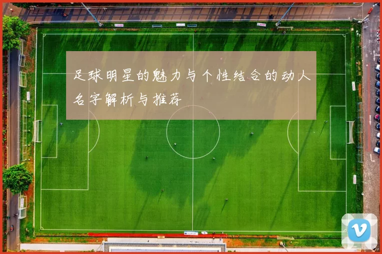 足球明星的魅力与个性结合的动人名字解析与推荐
