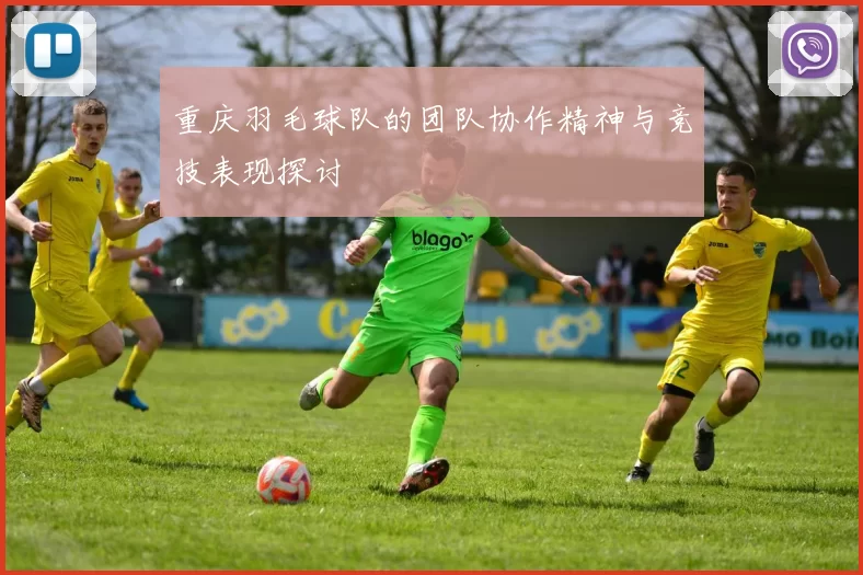 重庆羽毛球队的团队协作精神与竞技表现探讨