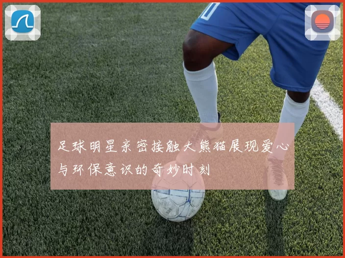 足球明星亲密接触大熊猫展现爱心与环保意识的奇妙时刻