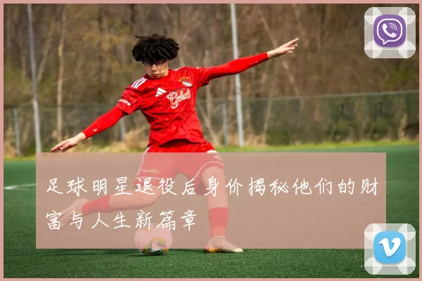 足球明星退役后身价揭秘他们的财富与人生新篇章