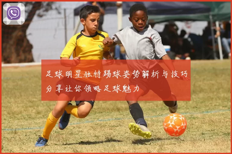 足球明星独特踢球姿势解析与技巧分享让你领略足球魅力