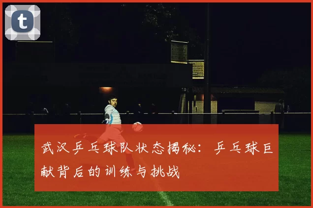 武汉乒乓球队状态揭秘：乒乓球巨献背后的训练与挑战