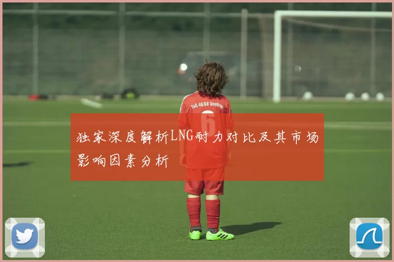 独家深度解析LNG耐力对比及其市场影响因素分析