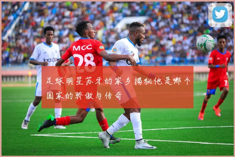 足球明星苏牙的家乡揭秘他是哪个国家的骄傲与传奇