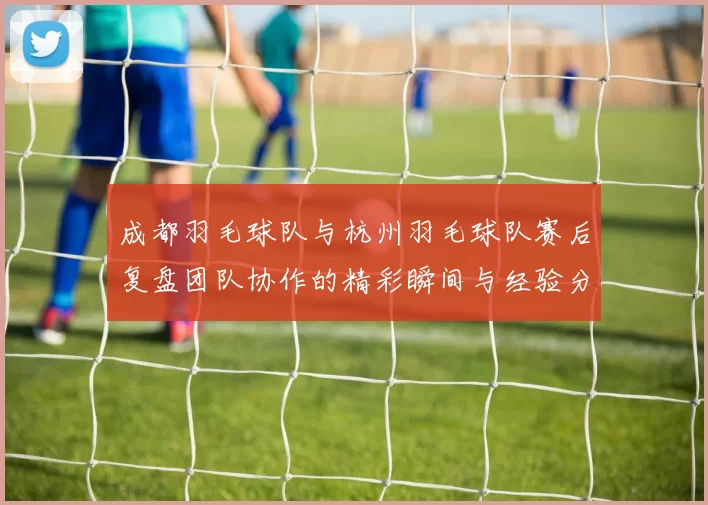 成都羽毛球队与杭州羽毛球队赛后复盘团队协作的精彩瞬间与经验分享