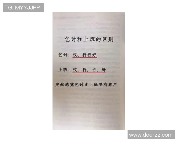 杨伟乒乓球人生的深度对话与成长历程探索