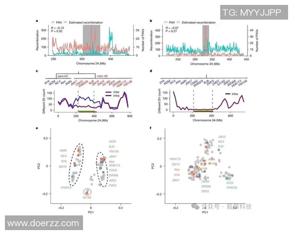武汉攀岩队节奏表现数据分析揭示训练与比赛的关键因素
